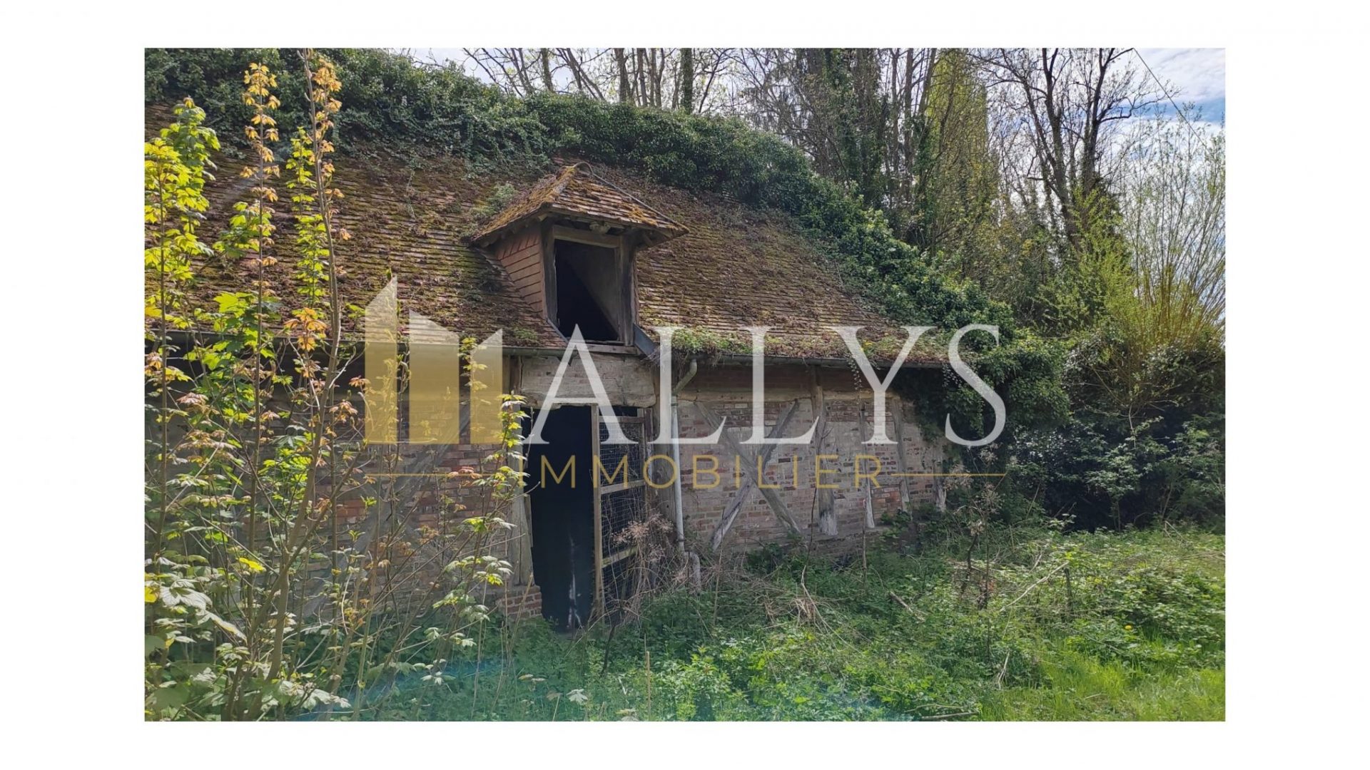 Bâtiment en colombage 104m² (5)