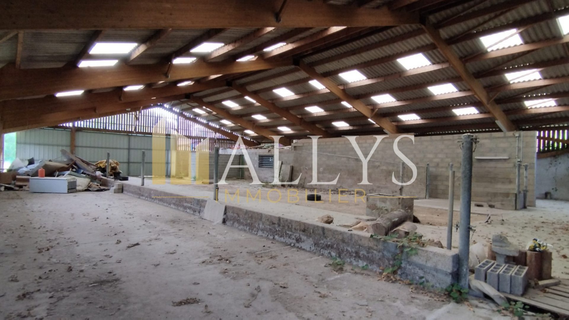 Hangar 648m² (1)