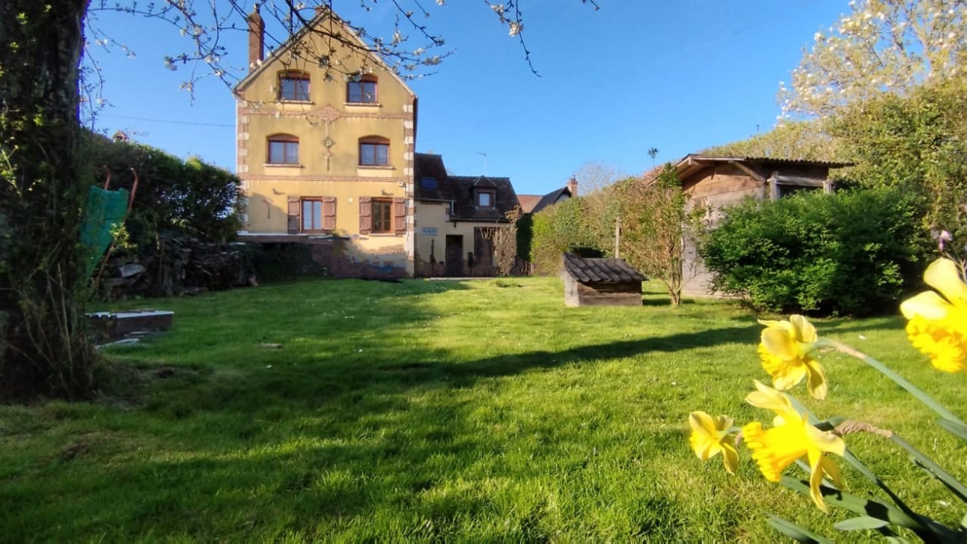 IMG-20250410-WA0034~2